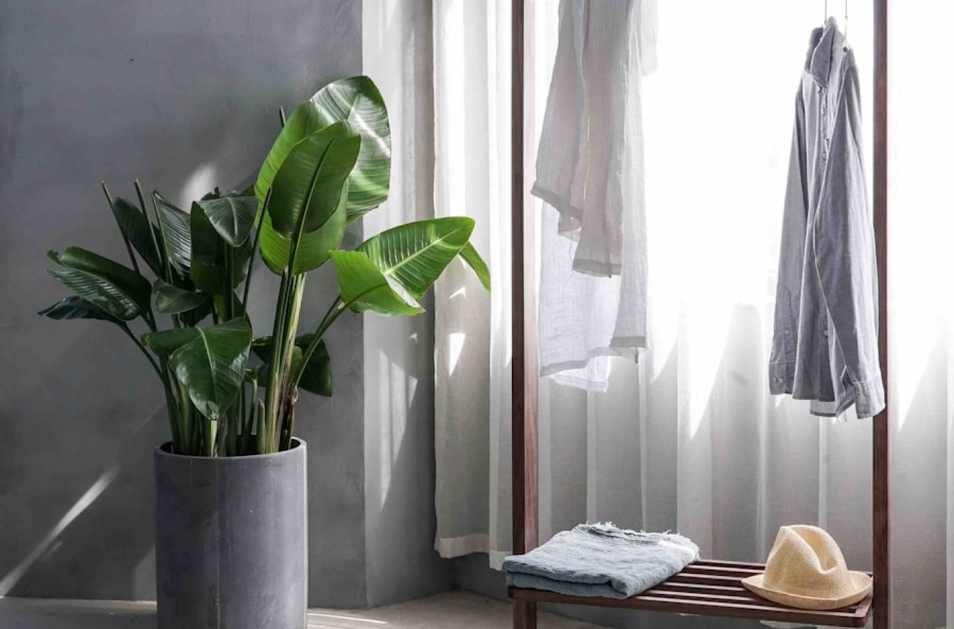 Professional cleaning team in Lower Greenville, TX providing expert services near me.